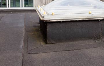 disadvantages of Hoopers Pool flat roofs